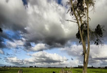 开云体育平台APP-加克波一手掌控比赛走势，拜仁巅峰对决力压巴黎